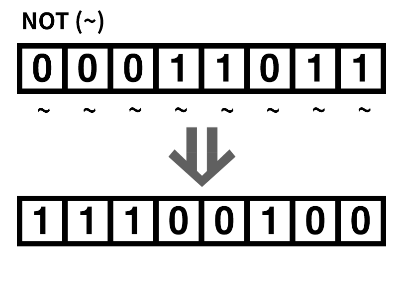 bit_operator_not